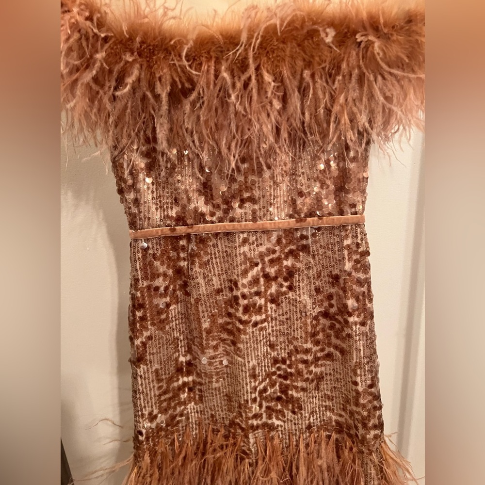 Antonio Melani x Nicola Bathie Collab
Feather Sequin Silk Mini Dress Size 2 - Picture 3 of 10